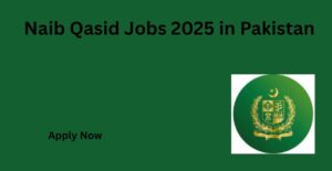 Naib Qasid Jobs